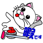 しろ猫のカーリング