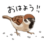 野鳥のお名前♪動くスタンプ