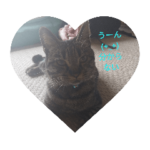 マロンぱんミー