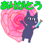 ササッ！とお絵かきネコ