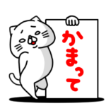 全力ねこ かまってほしい年頃編