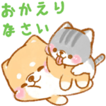 ▶動く❤️いやしばいぬと猫❤️日常会話