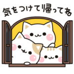気づかいのできるネコ♪家族の連絡編