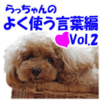 トイプードル らっちゃんのよく使う言葉編2