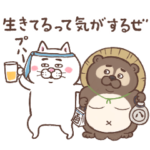 働く!!目付きの悪い猫