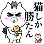 目ヂカラ☆にゃんこ22