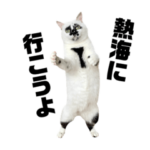 熱海 Muddy Catの白黒猫スタンプ