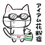 季節のねこぱんつ上半期