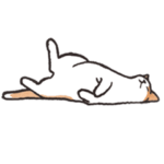 動く！猫好きが反応するスタンプ3