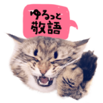 サイベリアンのヤマネコ2