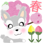 ふんわり癒されシュナウザー