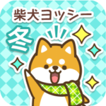 柴犬ヨッシーの冬2