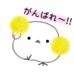 動く　シマエナガさん