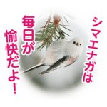 シマエナガコラボスタンプ ぼくシマVer