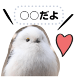 シマエナガちゃんのメッセージスタンプ