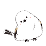 日常使える　つぶらな瞳のシマエナガちゃん