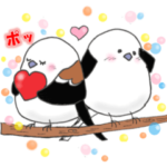 十勝ほんわかシマエナガ～春～