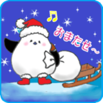 十勝ほんわかシマエナガ～冬