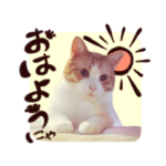 もちねこおちゃまるスタンプ2