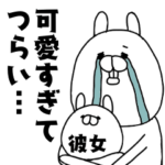 彼女（かのじょ）が可愛すぎてつらい