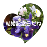 結婚記念日に君に
