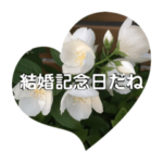 結婚記念日だね