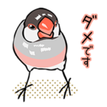 桜文鳥 交渉スタンプ