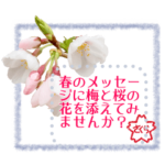 梅と桜で春のメッセージ