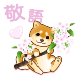花よりわんこ（敬語、柴犬、桜、春）