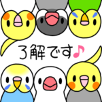 インコ と 文鳥 