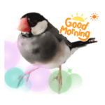 桜文鳥スタンプ1