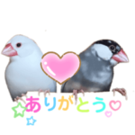 桜文鳥と白文鳥のスタンプ