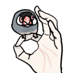 桜文鳥チャッピー第３弾