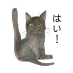 かもめのにゃんこスタンプ　黒猫