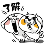 毎日 猫かもしれないしろねこ&まるしまさん