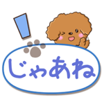毎日使える☆トイプードル
