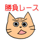 ギャンブル大好きねこ