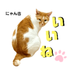 保護猫カフェさくら1号店スタンプ06♪