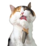 たま駅長とチームたま にゃんにゃん記念