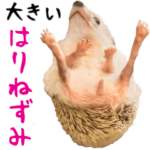 ハリネズミのBIGスタンプ!ほほえみフレンズ