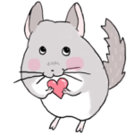 チンチラのむいむい