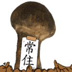 松茸研究家常住さんのマツタケ