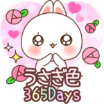 ❤️らぶうさ❤️うさぎ色365Days❤️