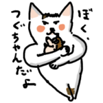 猫のつぐちゃん