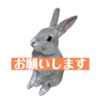 うさぎのウーちゃん初版