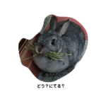 #1ウサギのウーとフー