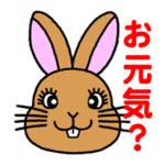 キキちゃんの「表情とメッセージ」