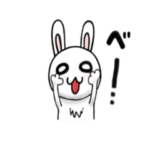 ミニうさぎのウーちゃん