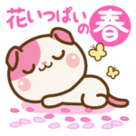 ❤️花いっぱいの春セット