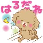 ふわっとトイプー 